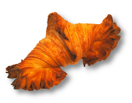 札幌クロワッサン専門店コンガリーナのメニュー