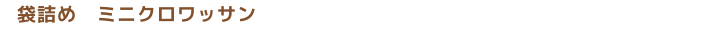 札幌市東区のパン屋さん「クロワッサン専門店 コンガリーナ」袋詰めミニクロワッサン